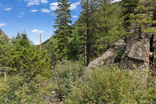 4955 Colorado 103, Idaho Springs, CO 80452