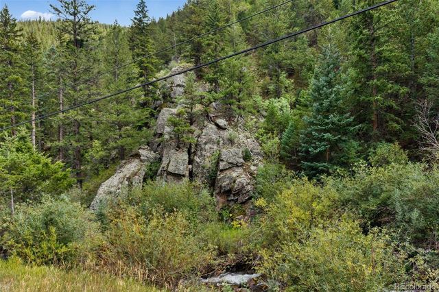 4955 Colorado 103, Idaho Springs, CO 80452
