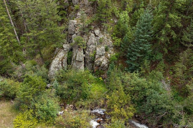 4955 Colorado 103, Idaho Springs, CO 80452