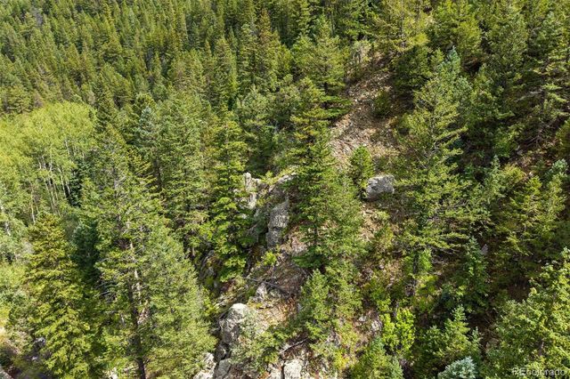 4955 Colorado 103, Idaho Springs, CO 80452