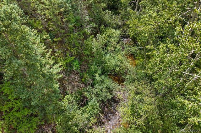4955 Colorado 103, Idaho Springs, CO 80452