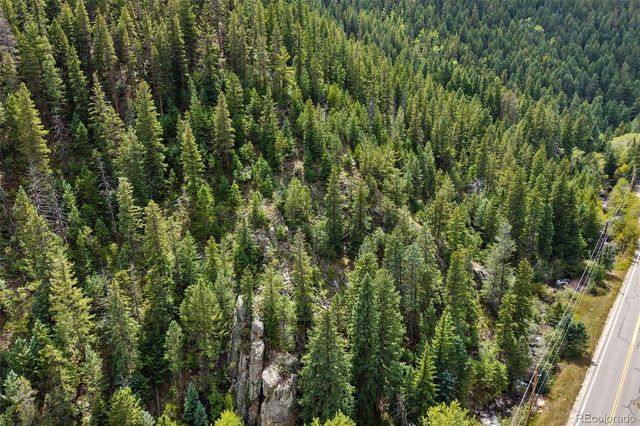 4955 Colorado 103, Idaho Springs, CO 80452