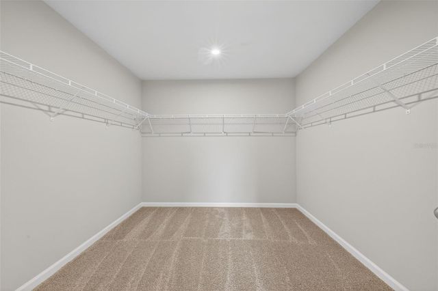 3350 TIMBER CROSSING AVENUE, Brandon, FL 33511