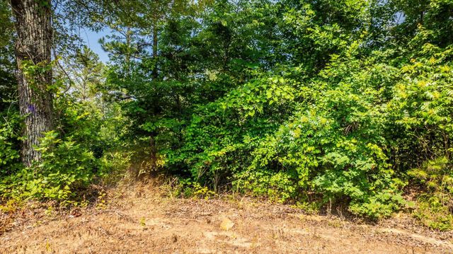 Tract 5 Harmony Mountain Road, Clinton, AR 72031