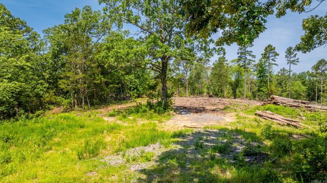 Tract 5 Harmony Mountain Road, Clinton, AR 72031