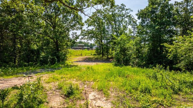 Tract 5 Harmony Mountain Road, Clinton, AR 72031