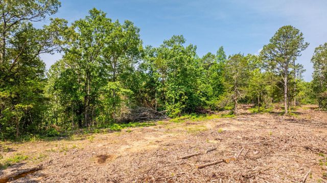 Tract 5 Harmony Mountain Road, Clinton, AR 72031