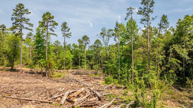 Tract 5 Harmony Mountain Road, Clinton, AR 72031