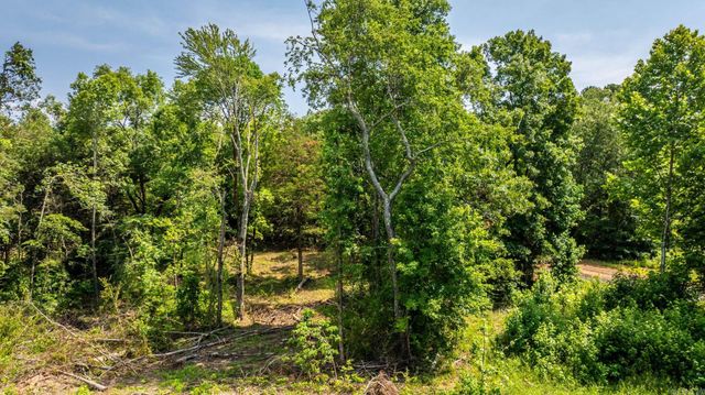 Tract 5 Harmony Mountain Road, Clinton, AR 72031