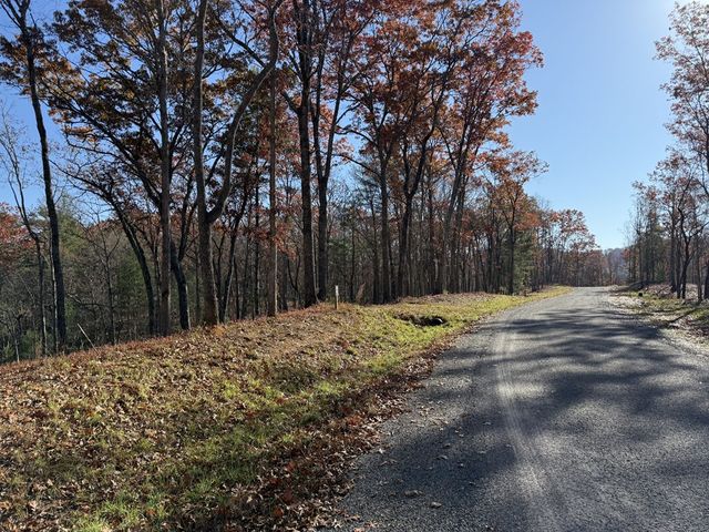 Lot 75 Morgan Road, Mineral Bluff, GA 30559