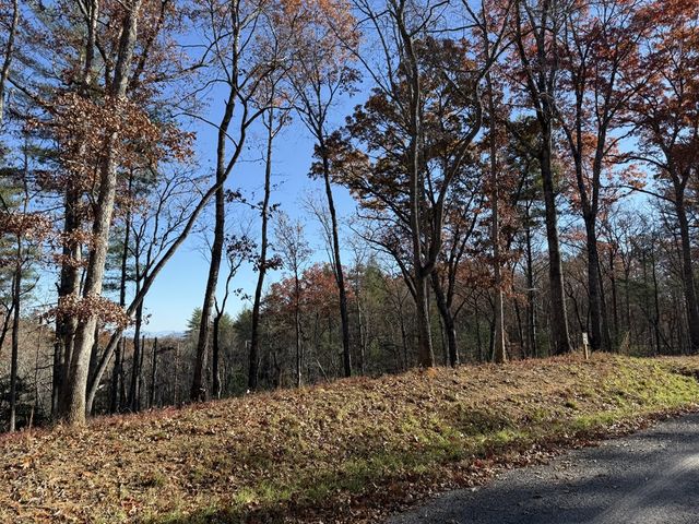 Lot 75 Morgan Road, Mineral Bluff, GA 30559