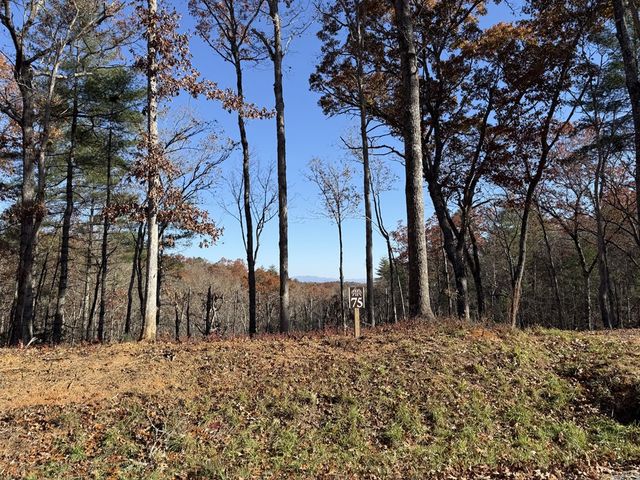 Lot 75 Morgan Road, Mineral Bluff, GA 30559