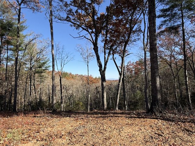 Lot 75 Morgan Road, Mineral Bluff, GA 30559
