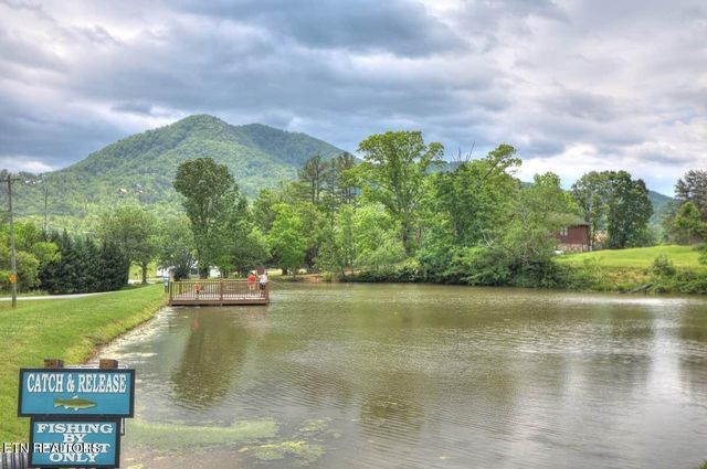 210 Meghans Way, Townsend, TN 37882