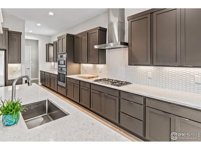 1869 Blossom Grove Dr, Windsor, CO 80550