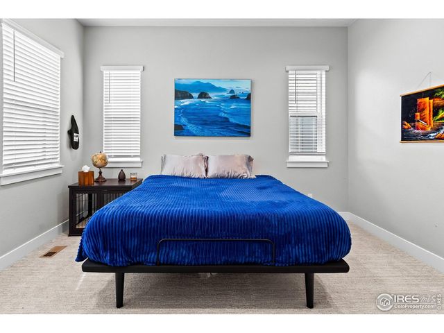 1869 Blossom Grove Dr, Windsor, CO 80550