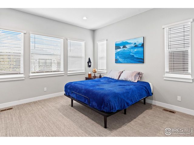 1869 Blossom Grove Dr, Windsor, CO 80550