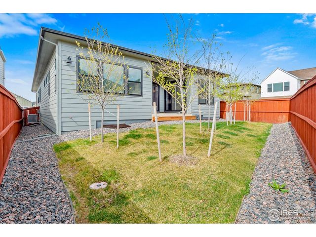 1869 Blossom Grove Dr, Windsor, CO 80550