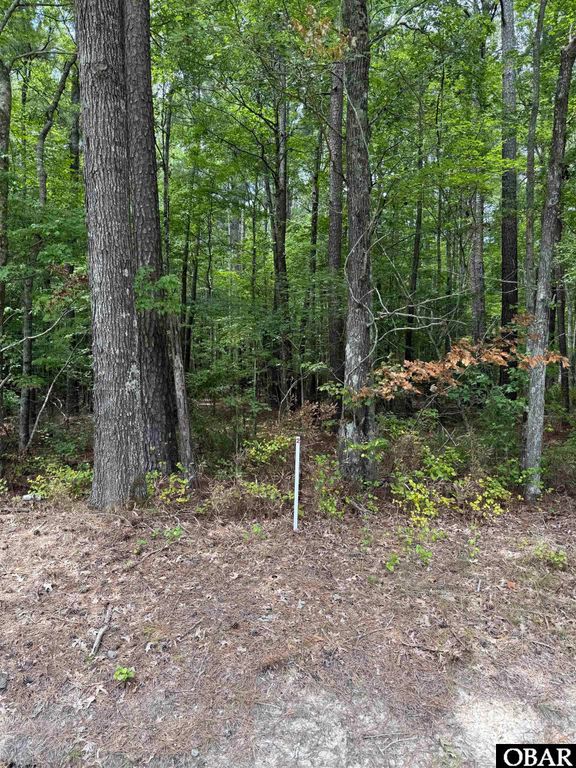 TBD Boat Ramp Road Lot 2, New Hope, NC 27944