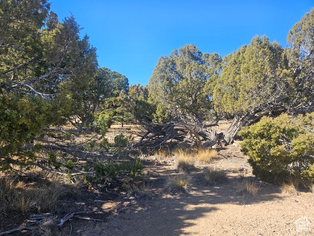 42783 W 7750 S, Fruitland, UT 84027