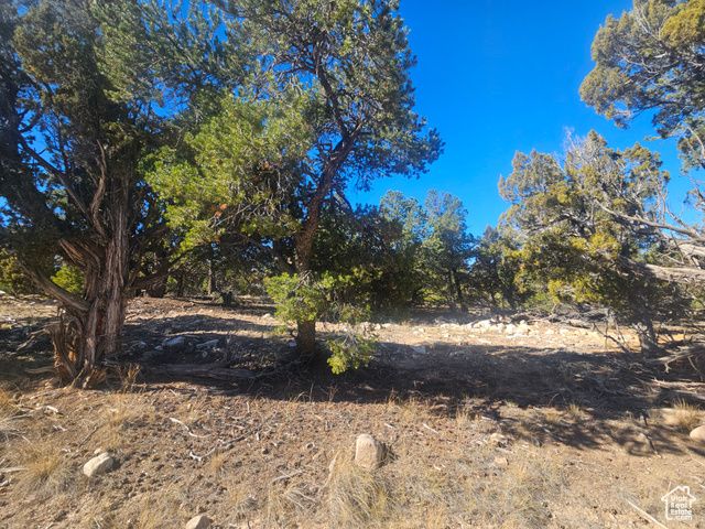 42783 W 7750 S, Fruitland, UT 84027