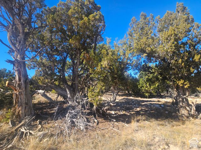 42783 W 7750 S, Fruitland, UT 84027