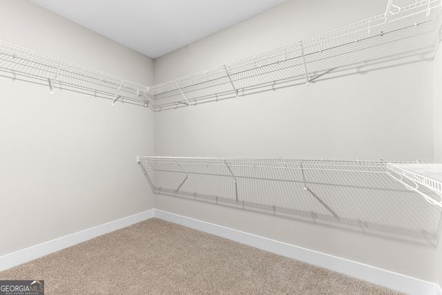 112 Black Birch Lane, Kathleen, GA 31047