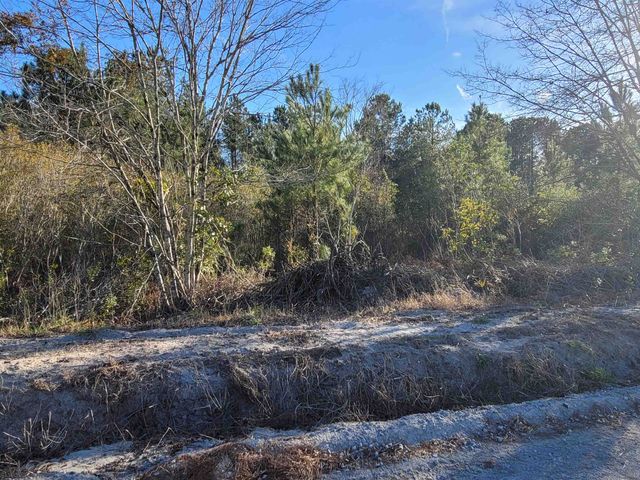TBD lot 4 Auburn Rd., Loris, SC 29569