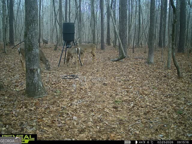 1553 S Walkers Mill Road, Griffin, GA 30224