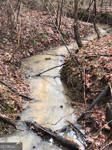 1553 S Walkers Mill Road, Griffin, GA 30224