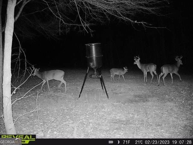 1553 S Walkers Mill Road, Griffin, GA 30224