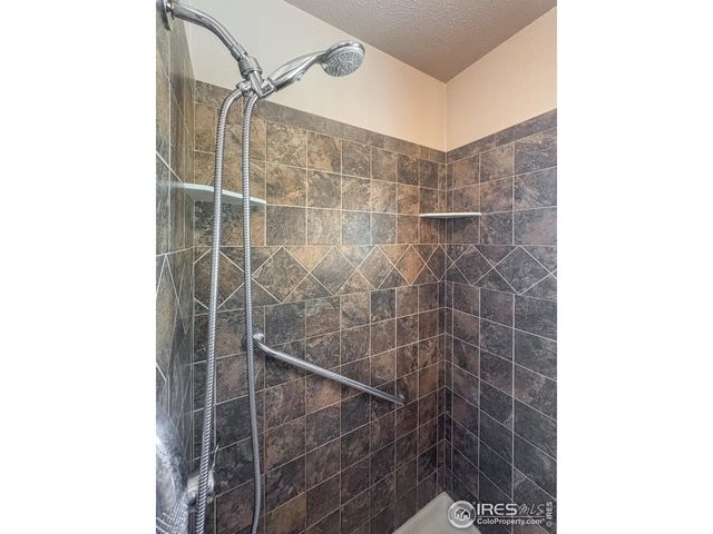 1009 Blue Spruce Pl, Loveland, CO 80538