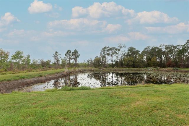 15216 LANGSDALE COURT, Mascotte, FL 34753