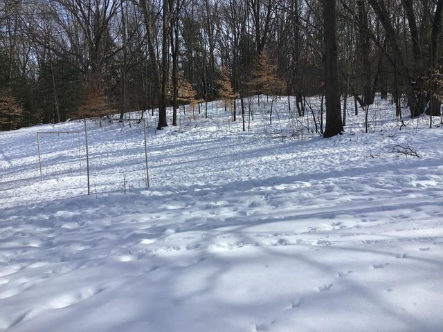 286 108th Avenue, Plainwell, MI 49080