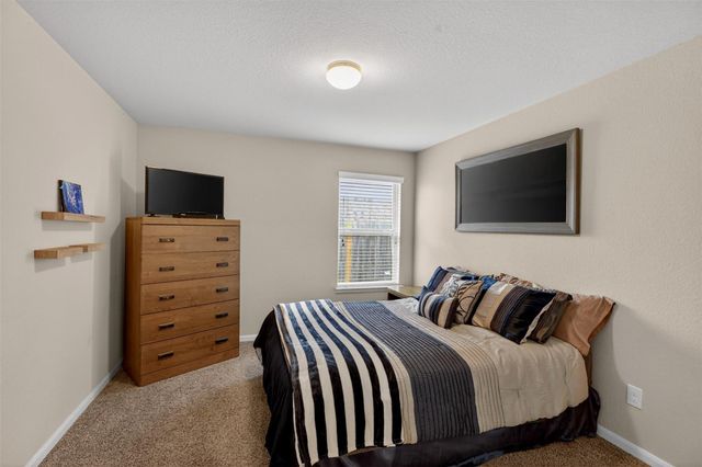 19 Rodeo Bend Drive, Manvel, TX 77578