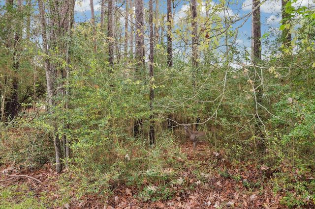 13219 Salem Circle, Montgomery, TX 77356