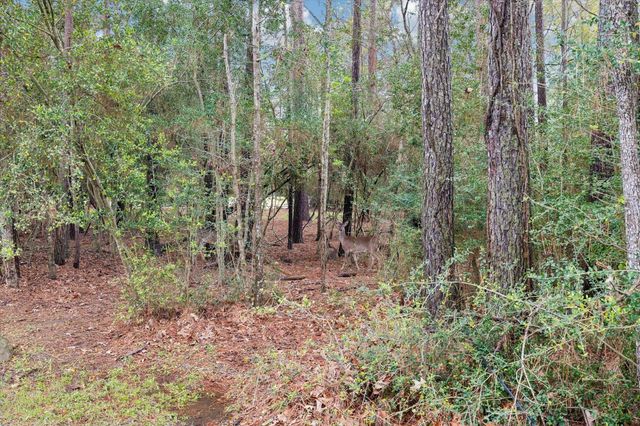 13219 Salem Circle, Montgomery, TX 77356