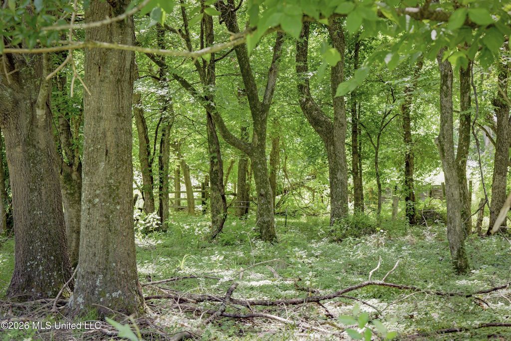 Center Hill Road, Olive Branch, MS 38654 — photo 3