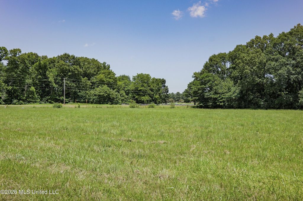 Center Hill Road, Olive Branch, MS 38654 — photo 4