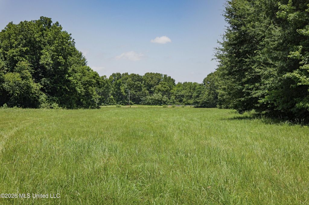 Center Hill Road, Olive Branch, MS 38654 — photo 5