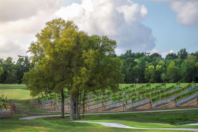 10425 Painted Brush Lane, Willis, TX 77318