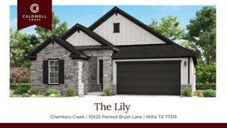 10425 Painted Brush Lane, Willis, TX 77318