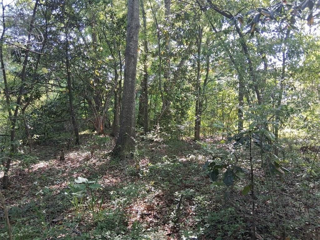 0 Dezauche Lane, Grand Bay, AL 36541 — photo 4