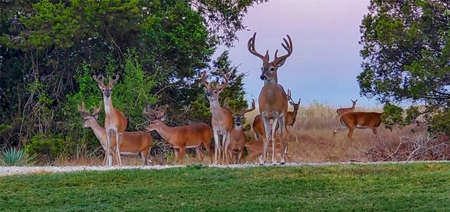 19069 Lakeview Court, Whitney, TX 76692