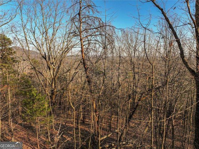 LOT 1 Mount Mincie Road, Murrayville, GA 30564