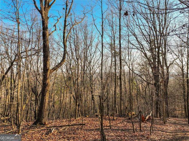 LOT 1 Mount Mincie Road, Murrayville, GA 30564