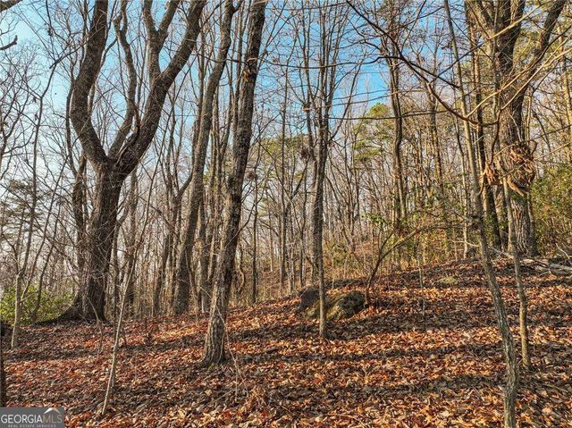 LOT 1 Mount Mincie Road, Murrayville, GA 30564