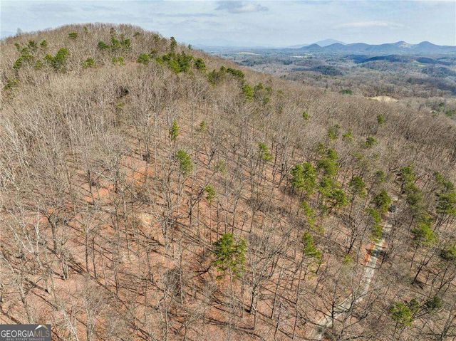 LOT 1 Mount Mincie Road, Murrayville, GA 30564