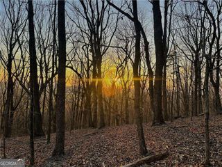 LOT 1 Mount Mincie Road, Murrayville, GA 30564
