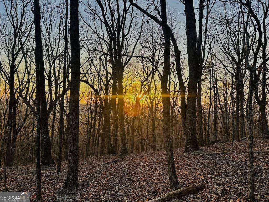 LOT 1 Mount Mincie Road, Murrayville, GA 30564